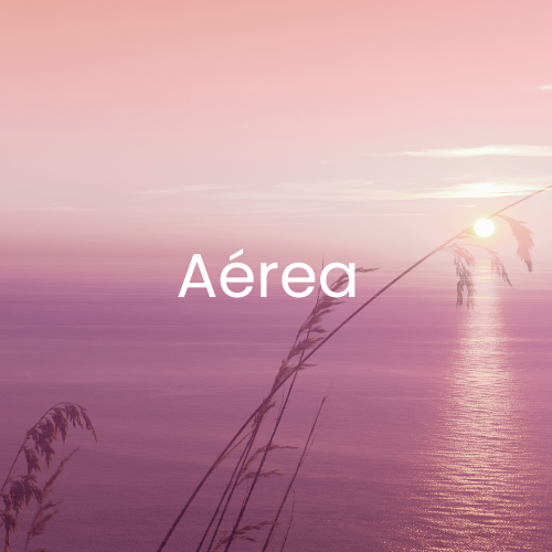 Aérea
